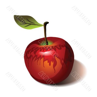 red apple isolated on white