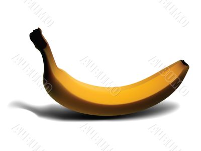 banana vector isolated on white