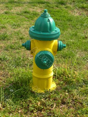 Fire Hydrant Green and Yellow surrouned by grass