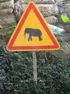 traffic sign elephant crossing