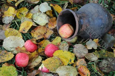 Apples and Bowl on Fallen Leaves