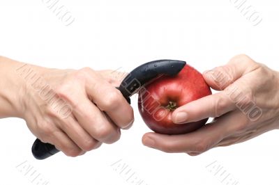 apple in hand