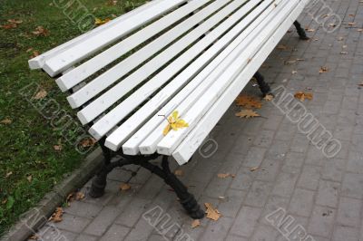 Bench in the autumn park