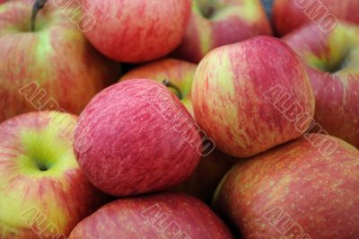 closeup Apples