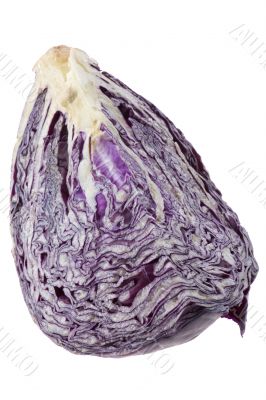 cabbage 