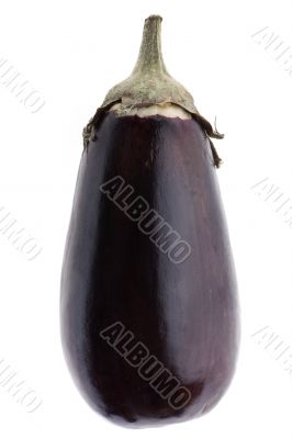 eggplant