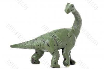 dinosaur