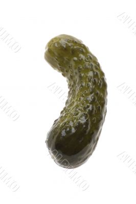 cucumber