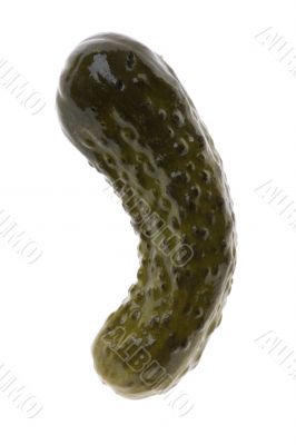 cucumber on white