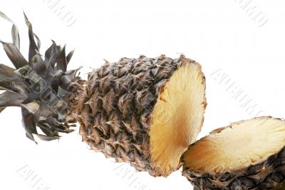 Cutting pineapple close up