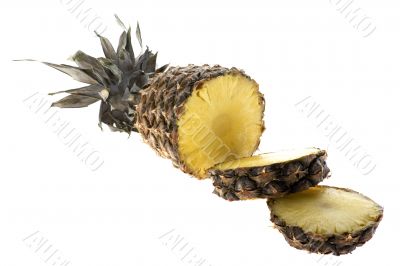 Cutting pineapple on white background