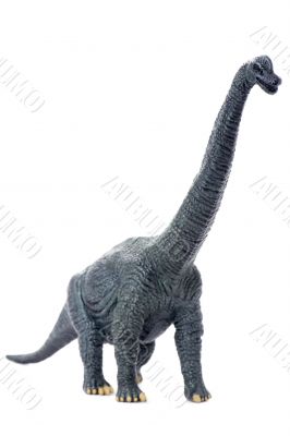 dinosaur isolated on white