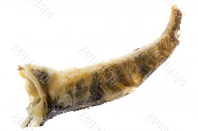 fried fish