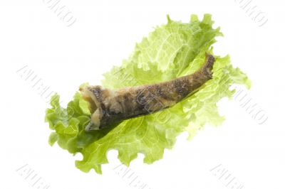 fried fish and salad