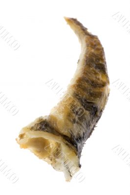 fried fish on white