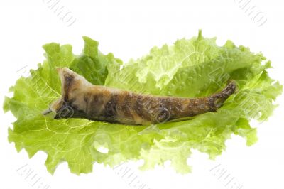 fried fish with salad