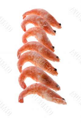 Frozen shrimp close up