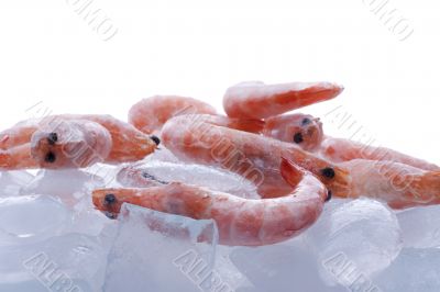 Frozen shrimp on ice