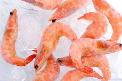 Frozen shrimp with ice