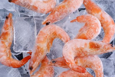 Frozen shrimp with ice on black
