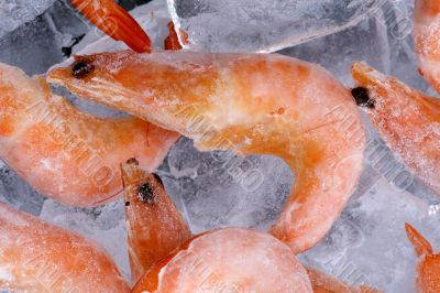 Frozen shrimp with ice on black macro
