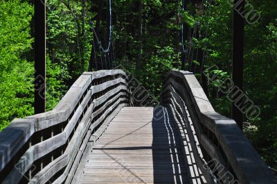 Swinging Suspended Bridge