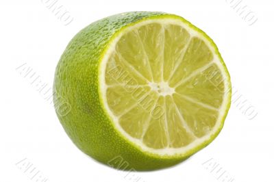 Lime   on white