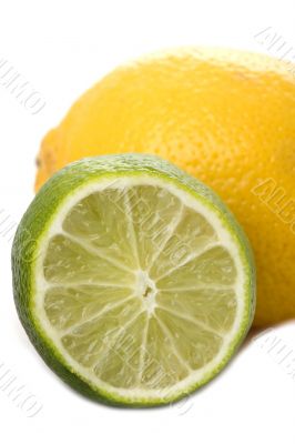 Lime and lemon on white background