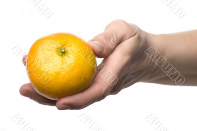 mandarin on hand