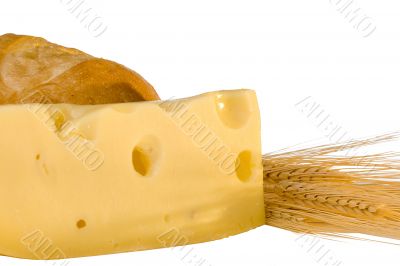 Swiss cheese slice