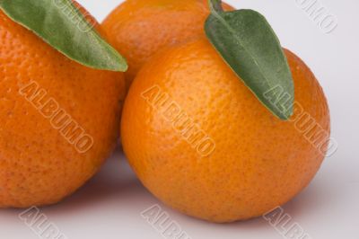 Orange Tangerines