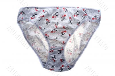 panties