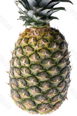 pineapple macro