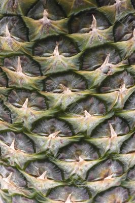 pineapple skin macro