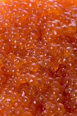 Red caviar