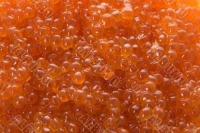 Red caviar macro