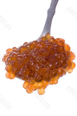 Red caviar on spoon