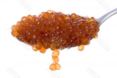 Red caviar on spoon macro