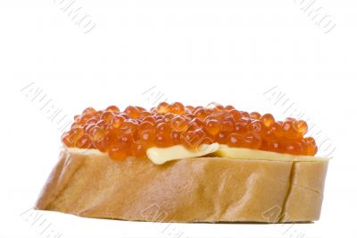 Red caviar with bread