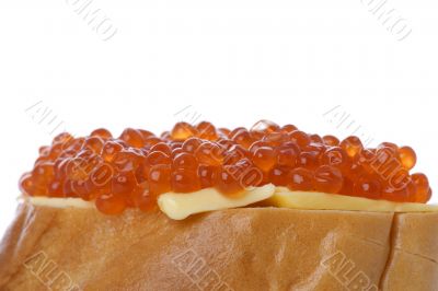 Red caviar with bread macro
