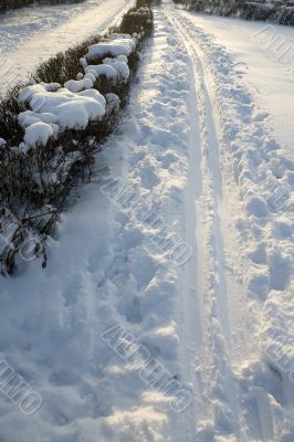 ski track