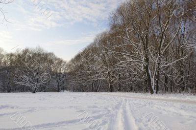 ski track in the park
