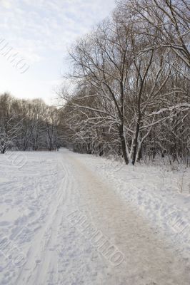 ski track in the winter park