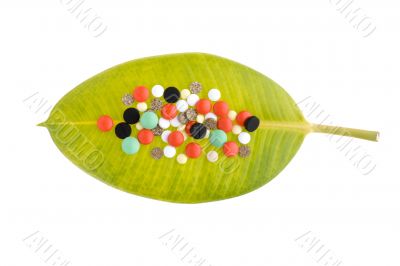 Tablet on leaf isolated on white