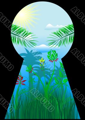 Keyhole in the tropical world