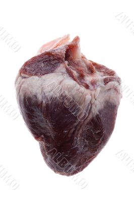 The beef heart