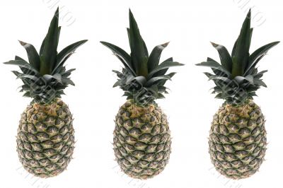 Three pineapple
