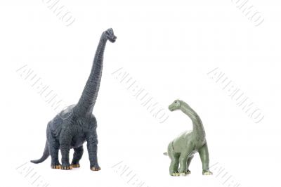 Two dinosaur isolated on white