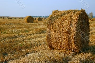 Haymaking at the End of Summer