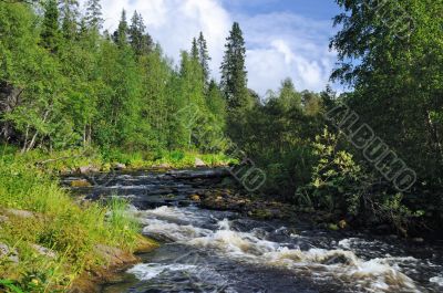The river 